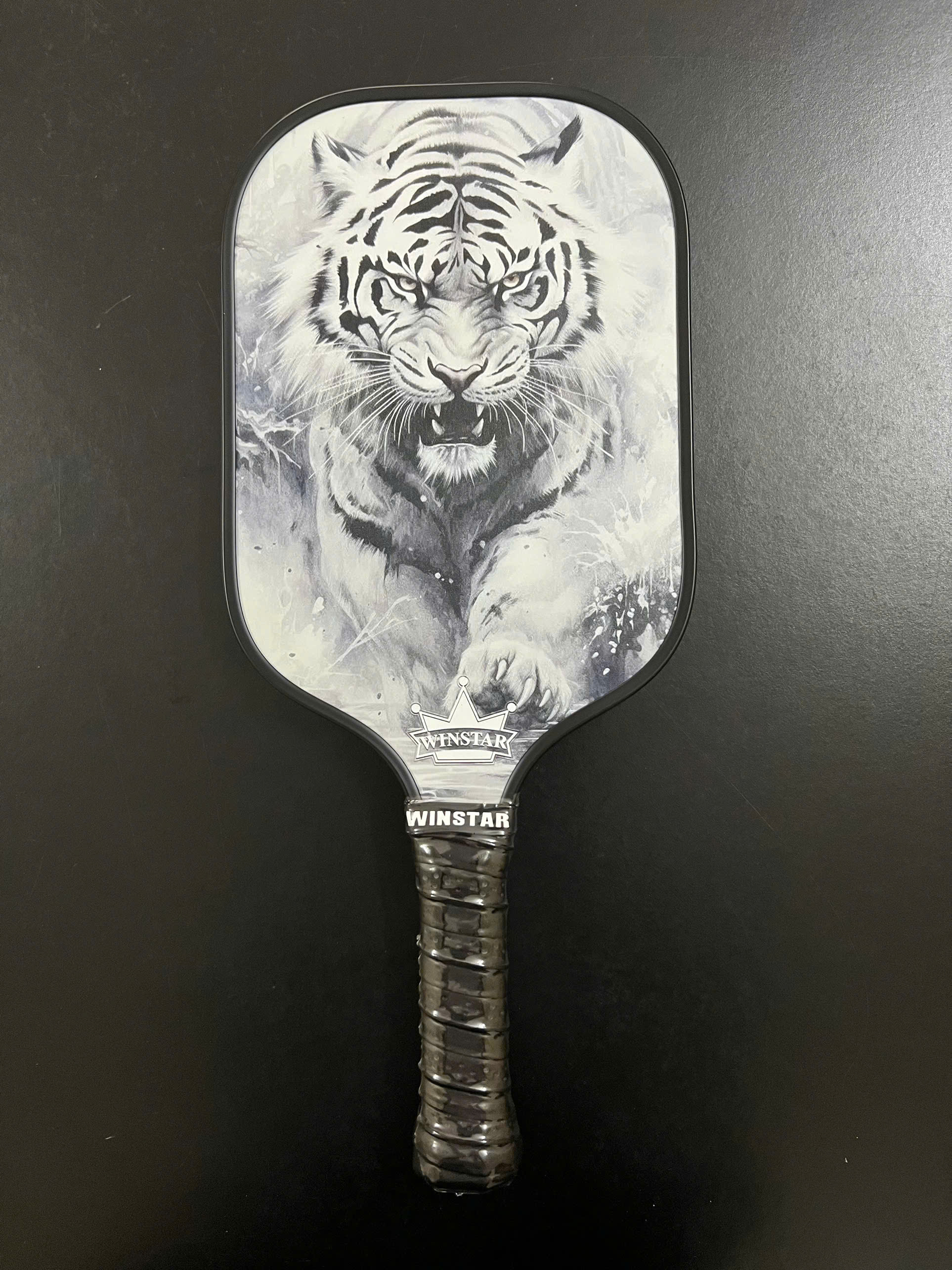 VỢT CẶP PICKLEBALL WINSTAR FIBER CARBON